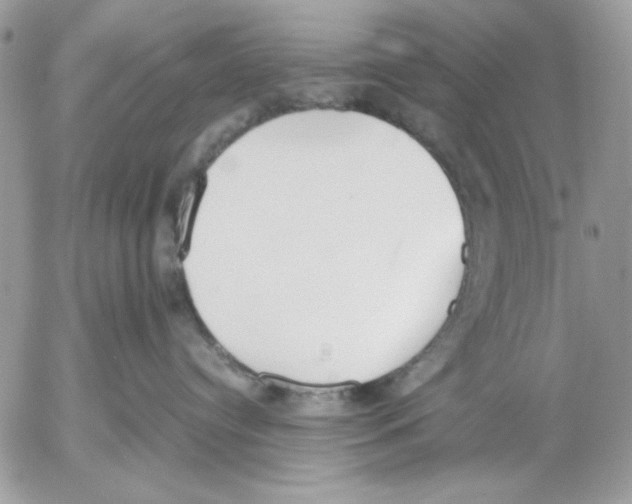 X0000052580384200507292038