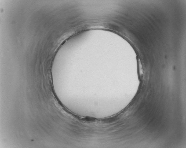 X0000052580385200507292037