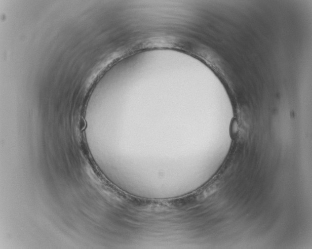 X0000052580386200507292037