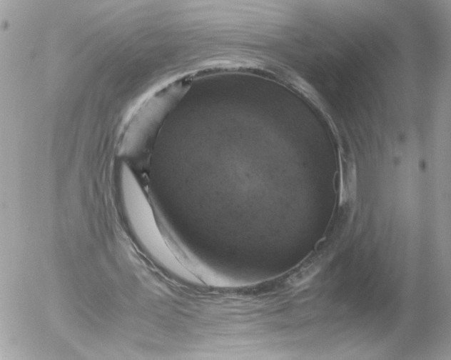 X0000052580387200507292037