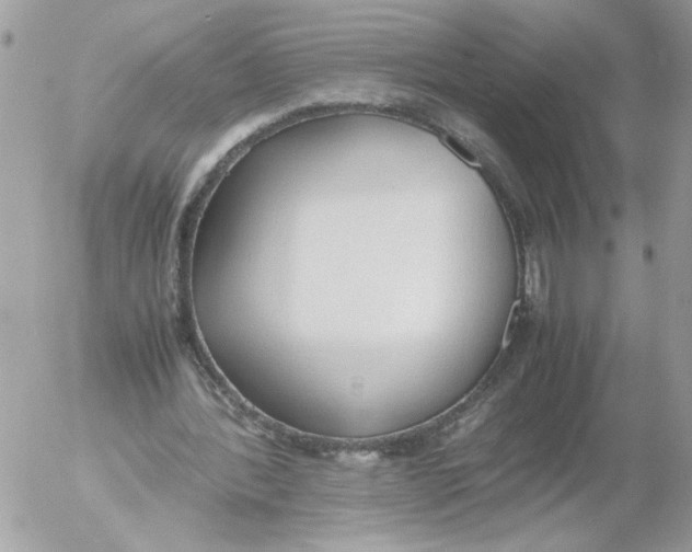 X0000052580388200507292037