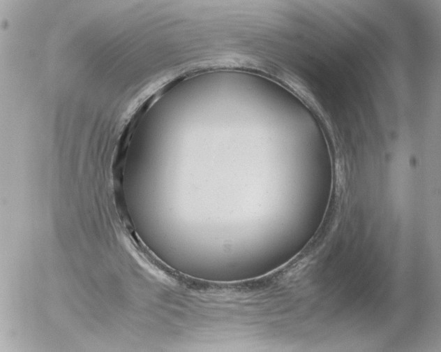 X0000052580389200507292037