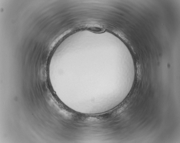 X0000052580390200507292037