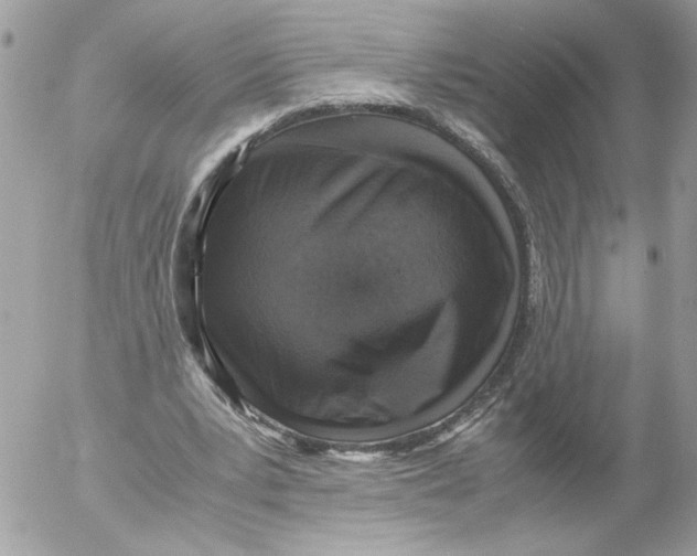 X0000052580391200507292037