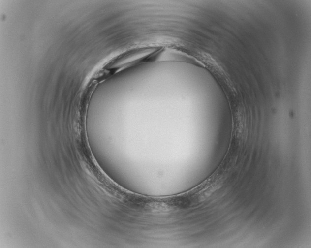 X0000052580392200507292037