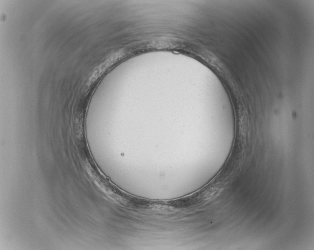 X0000052580393200507292037