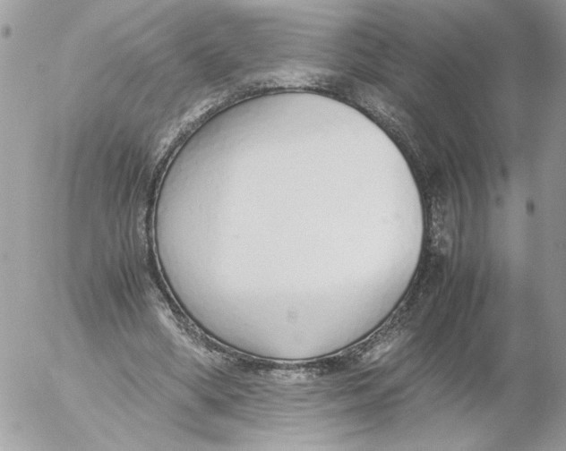 X0000052580394200507292037