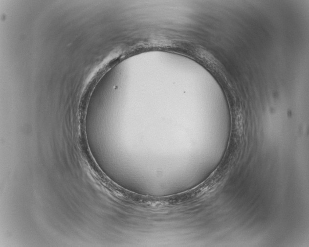 X0000052580395200507292037