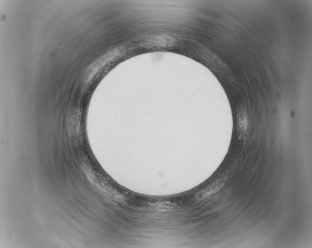 X0000052580396200507292037