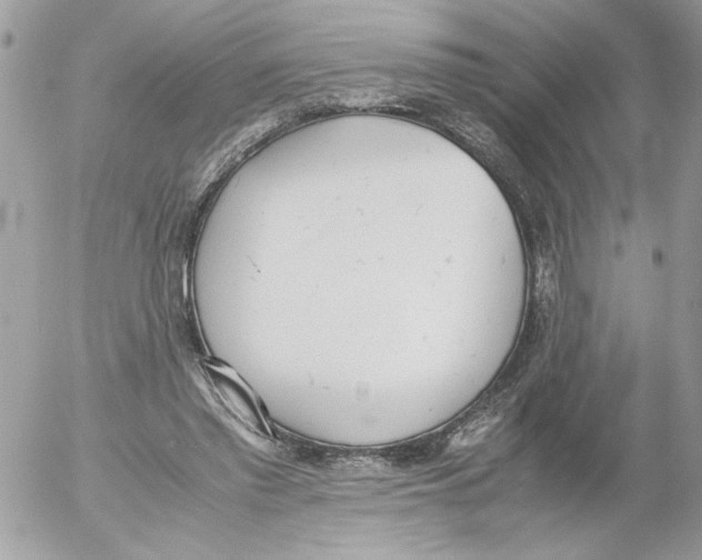 X0000052580397200507292037