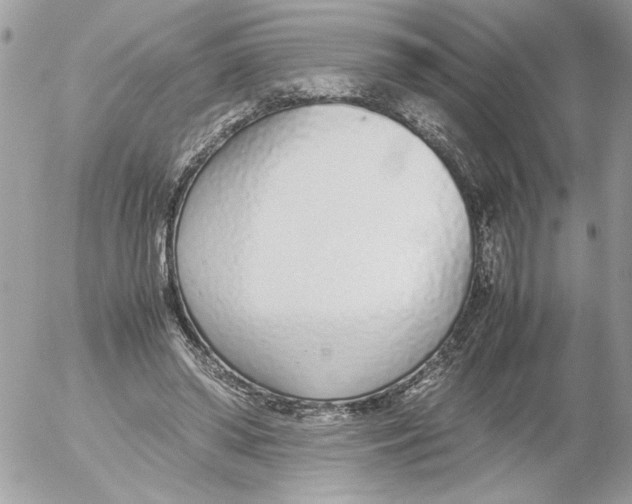 X0000052580398200507292037