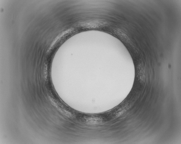 X0000052580400200507292037