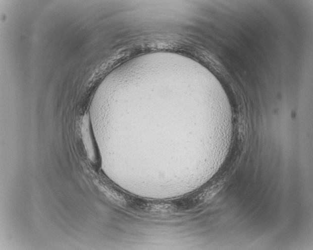 X0000052580401200507292037