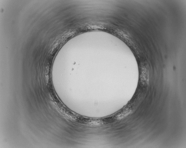 X0000052580402200507292037