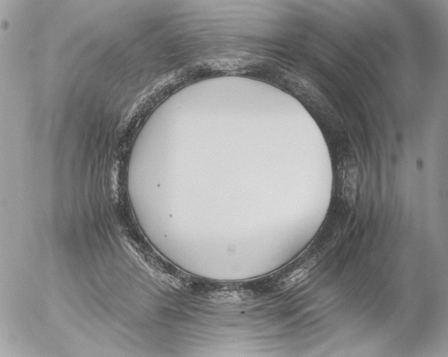 X0000052580404200507292037