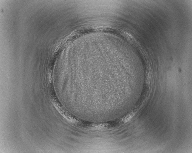 X0000052580405200507292037