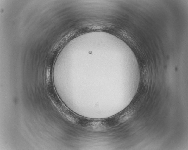 X0000052580406200507292037