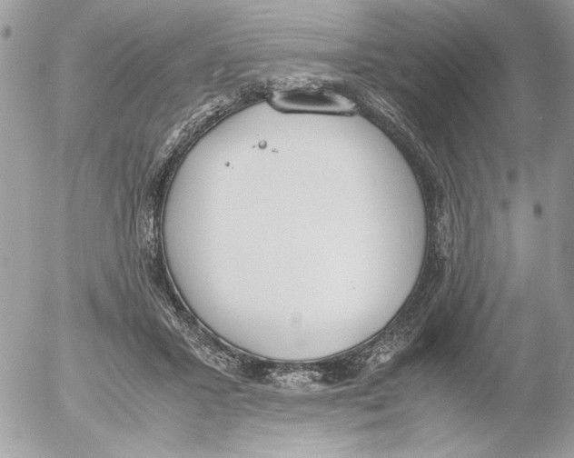 X0000052580407200507292037