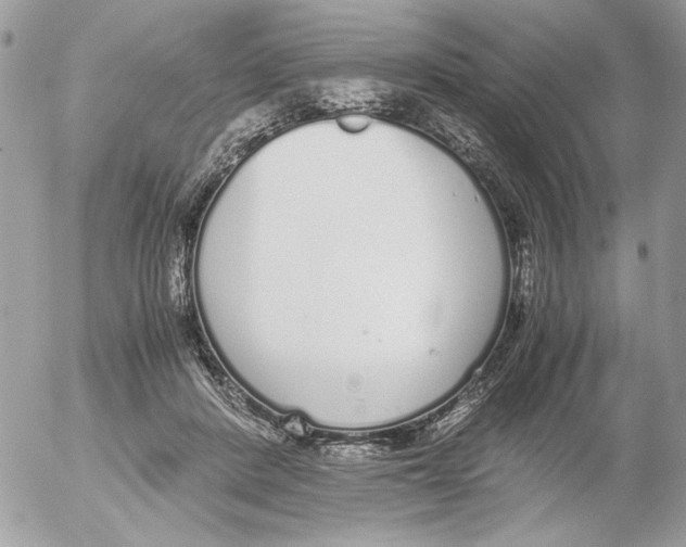 X0000052580408200507292037