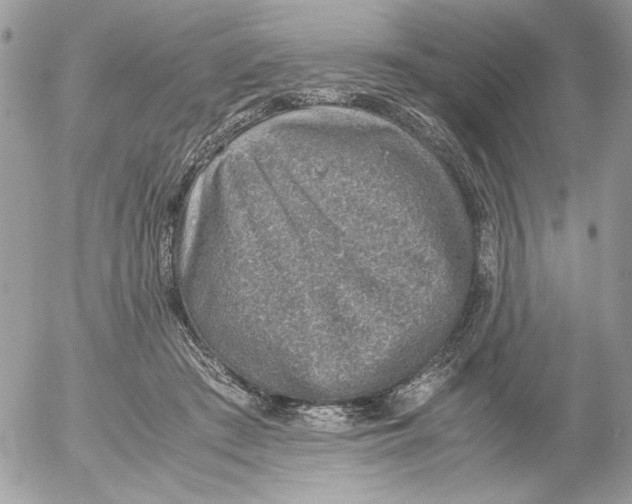 X0000052580409200507292037