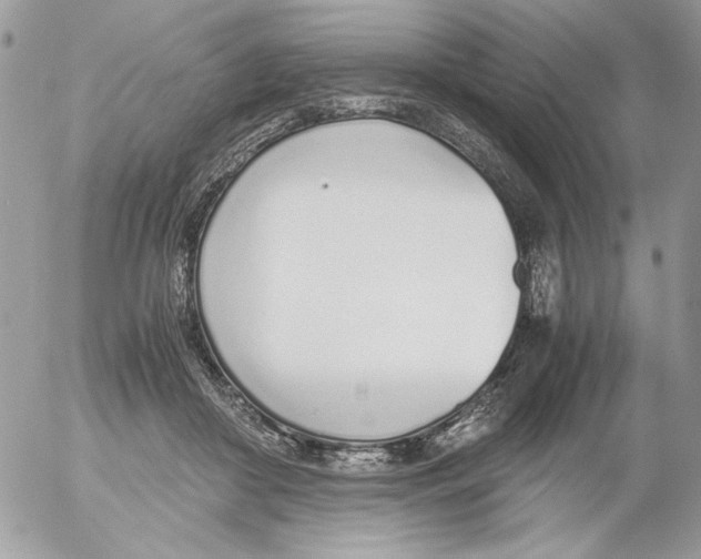 X0000052580410200507292037