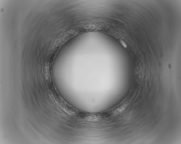 X0000052580416200507292037