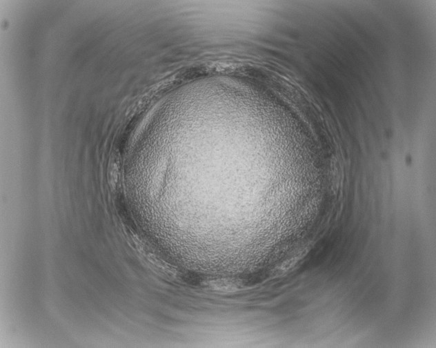 X0000052580417200507292037