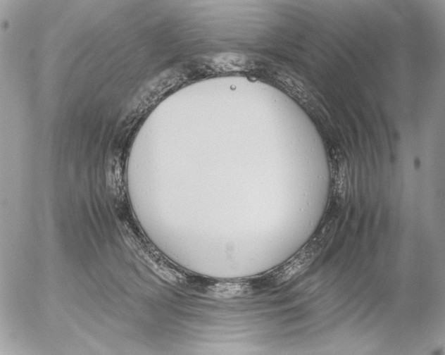 X0000052580418200507292037