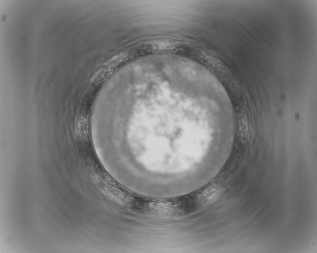 X0000052580419200507292037