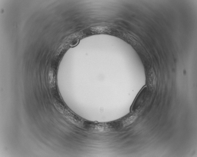 X0000052580420200507292037