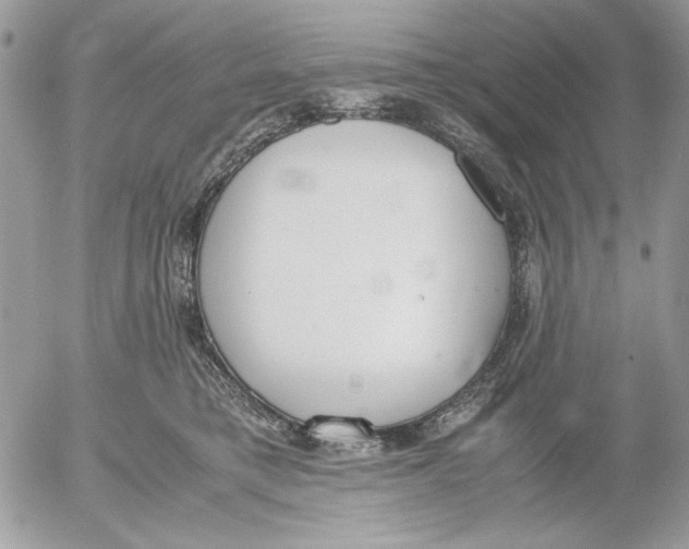 X0000052580421200507292037