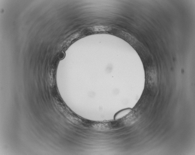 X0000052580422200507292037