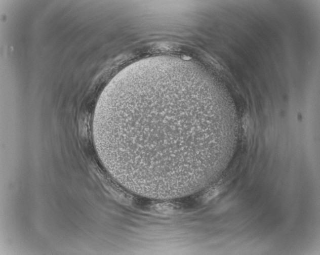 X0000052580423200507292037