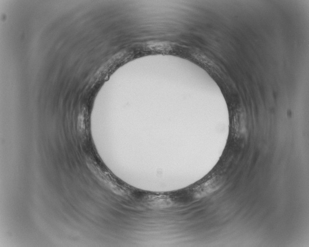 X0000052580424200507292037