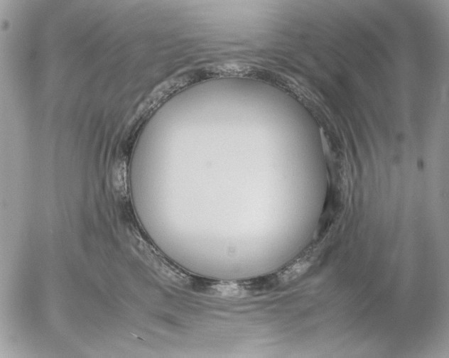 X0000052580425200507292037