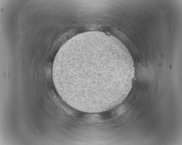 X0000052580427200507292037