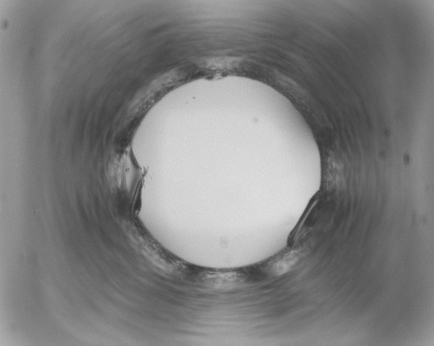 X0000052580428200507292037