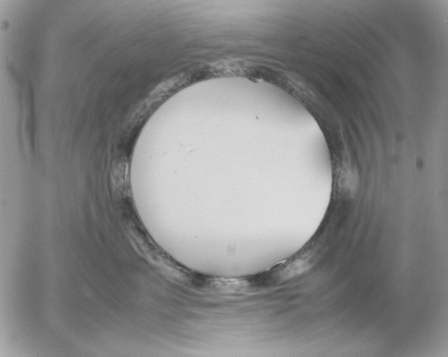 X0000052580429200507292037