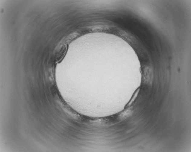 X0000052580430200507292037