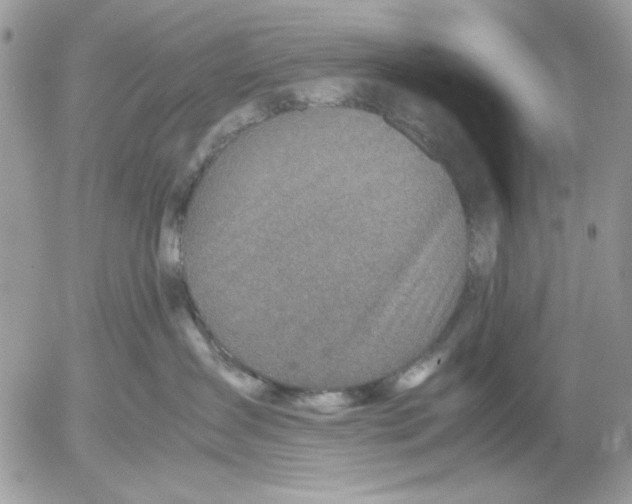 X0000052580431200507292037