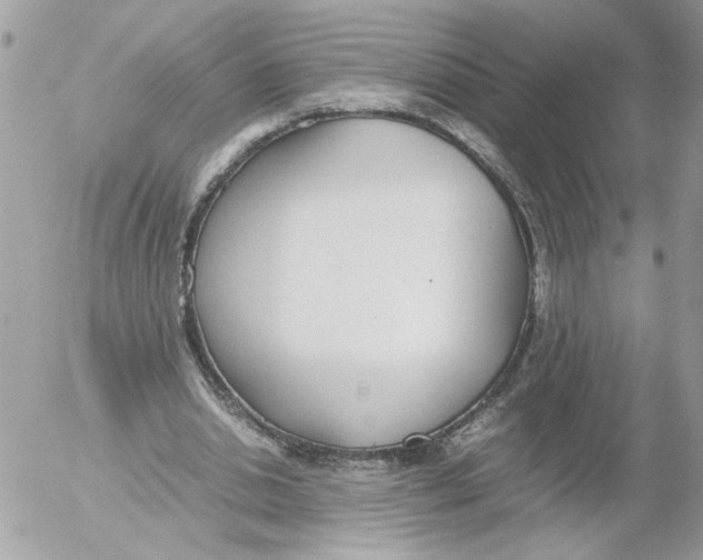 X0000052580438200507292036