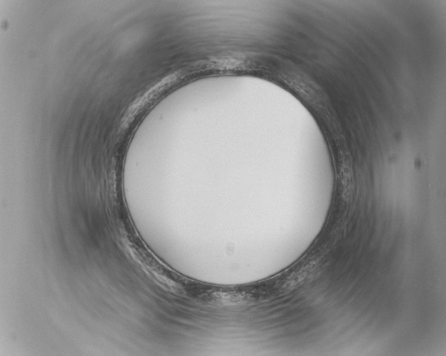 X0000052580442200507292036