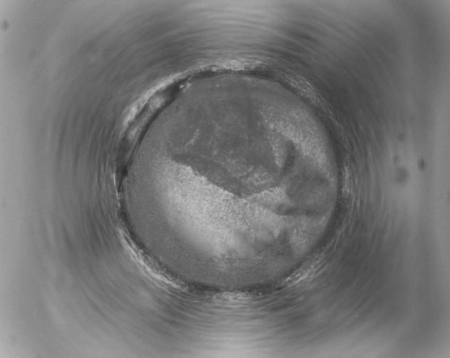 X0000052580444200507292036