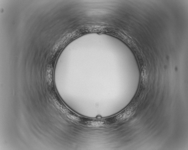 X0000052580462200507292036