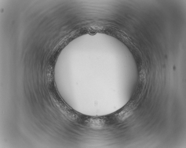 X0000052580464200507292036