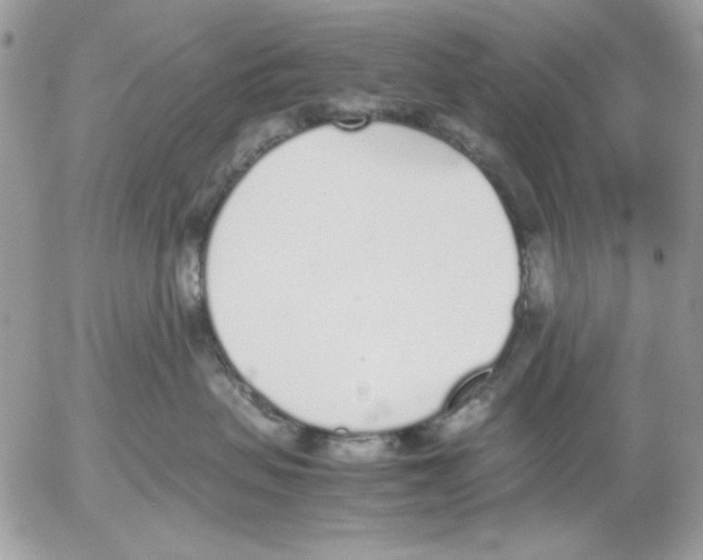 X0000052580479200507292037