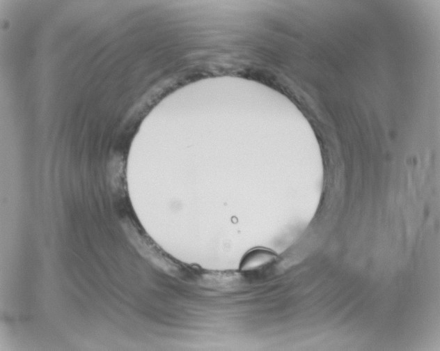 X0000052580480200507292037