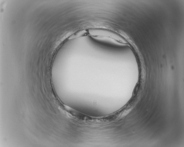 X0000052580481200507292036