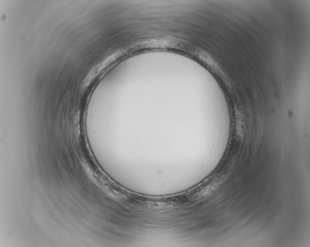 X0000052580486200507292036