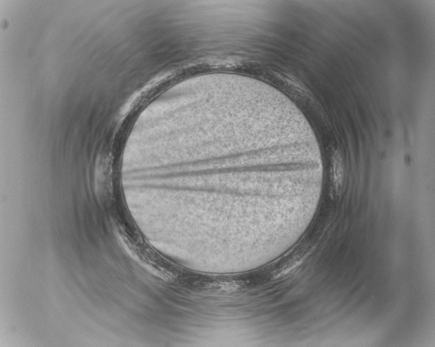 X0000052580492200507292036